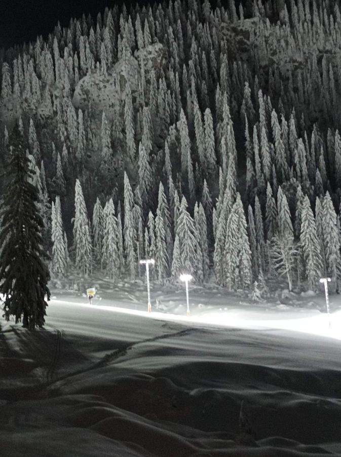 Ferienwohnung Planinska Kuca Kata -Zabac Jahorina Exterior foto